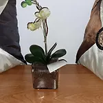 Apartman Bella